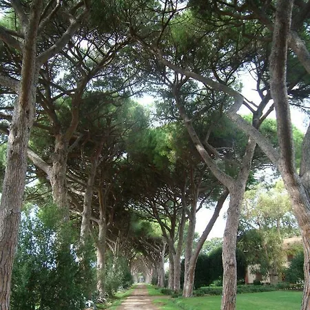 Azienda Agricola Paradiso * Castagneto Carducci