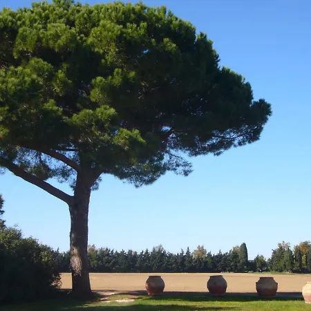 Azienda Agricola Paradiso *